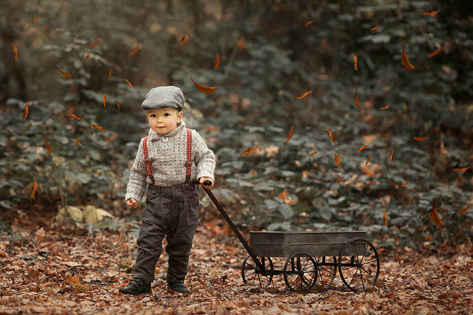 Professional London Toddler Photo Session | Jacob 5 portrait of 18 months old boy and his metal trolley taken in woodland looking park during autumn season | London