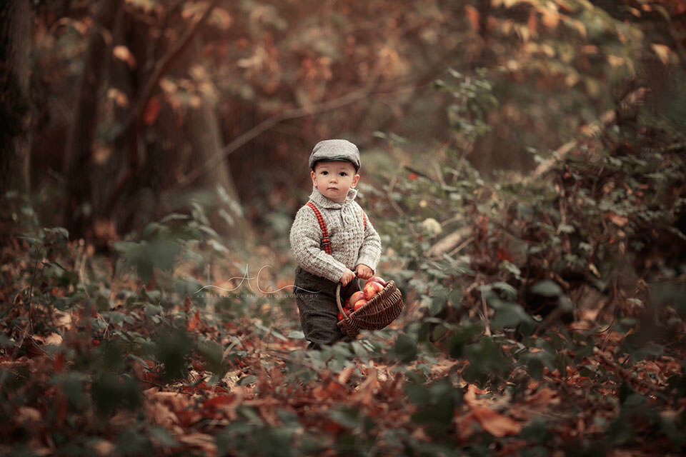 Professional London Toddler Photo Session | Jacob 3 Professional London Toddler Photo Session | 18 months boy with wicker basket full of red apples playing in the park during autumn season
