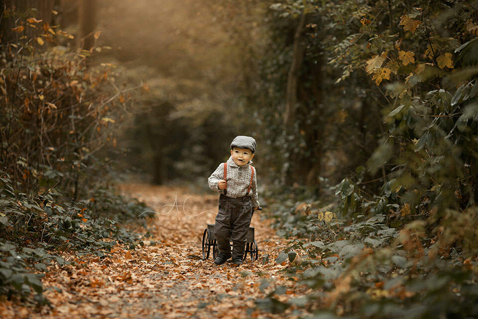 Professional London Toddler Photo Session | Jacob 4 Professional London Toddler Photo Session | 18 months boy pulling a trolley on the woodland park path during autumn season