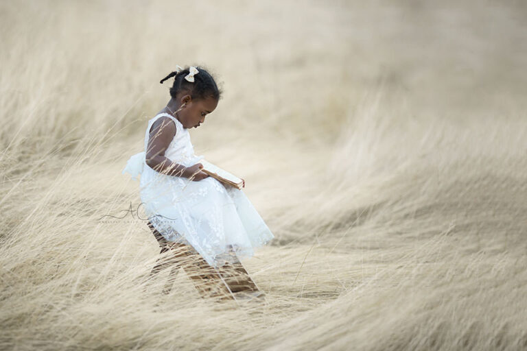 Bromley Toddler Images | Hannah Rose 2 Bromley Toddler Images | photo of a 2 year old girl sitting on a ladder steps and reading a book in the long dry grass field