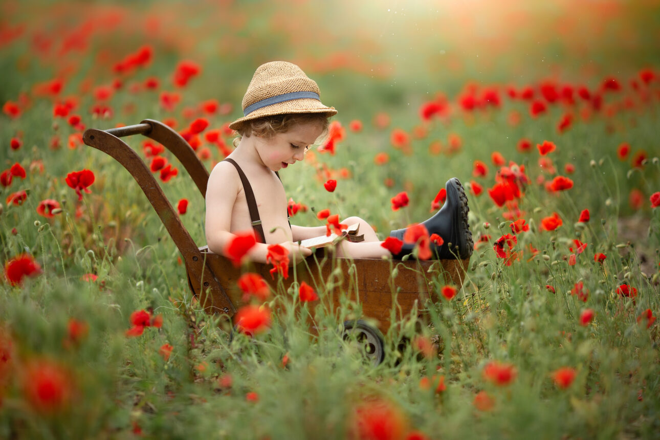 Amazing London Child Photoshoot in Poppy Field | portrait of a 4 year old boy sitting in the trolley and reading a book in the middle of a poppy field