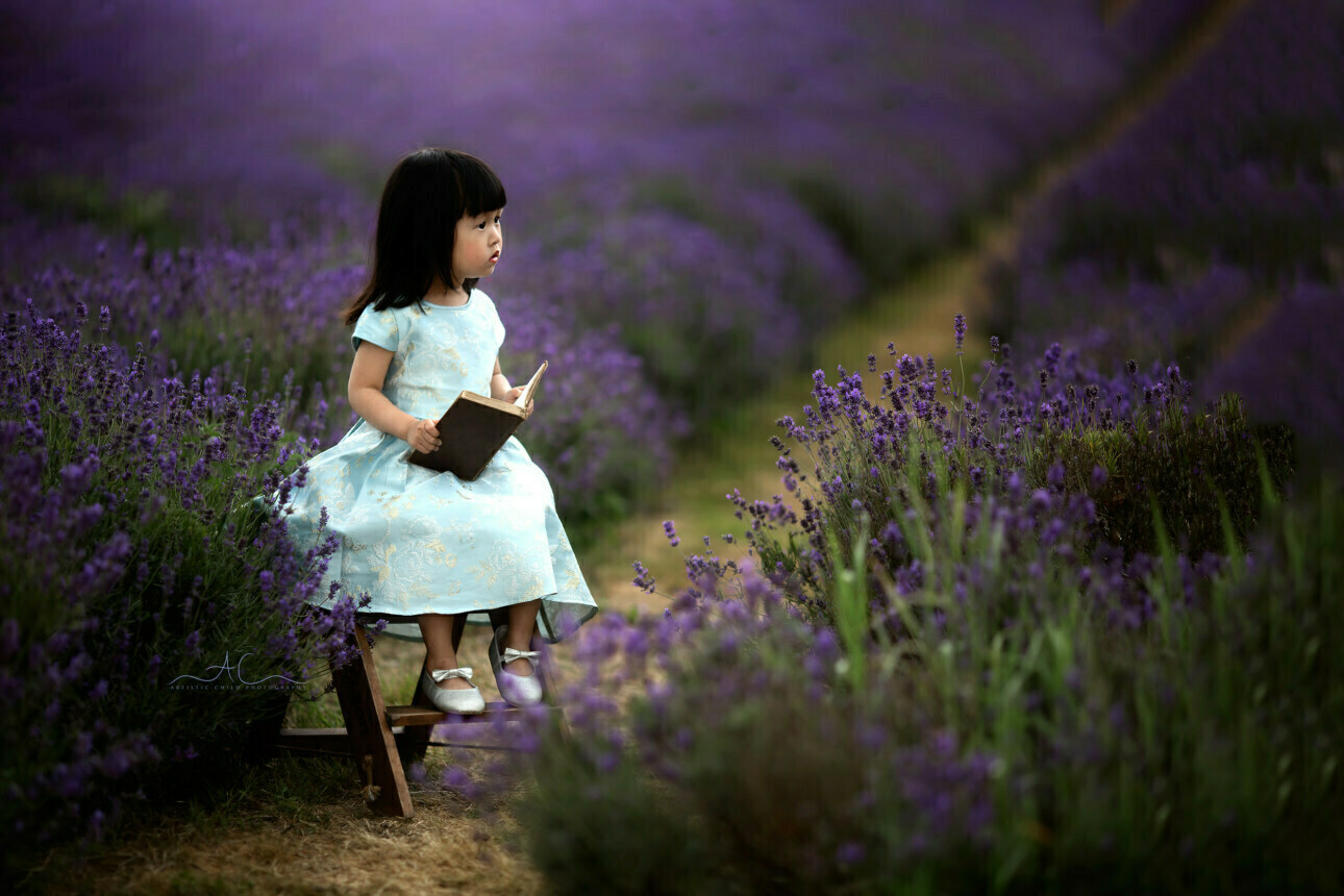 Beautiful London Toddler Lavender Session | portrait of 2 years old girl sitting on a wooden ladder steps with a book in the middle of lavender field