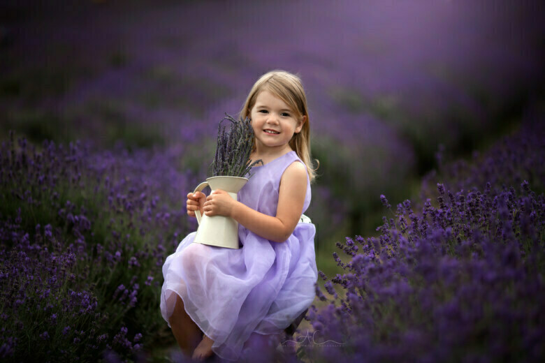 Best London Child Photoshoot in Lavender Field | portrait of a 5 years old girl sitting on ladder steps in lavender field and holding a pot full of lavender flowers