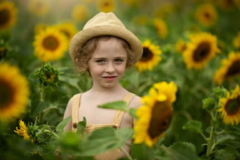 5 Best London Children Photos in Sunflower Field | Luca 14 Best London Children Photos in Sunflower Field | a close up portrait of a 6 year old boy taken in sunflower field