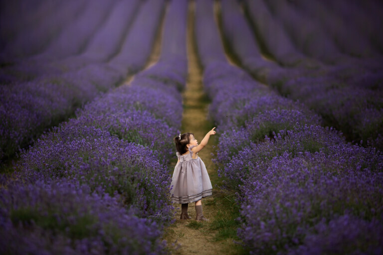 5 Best London Toddler Lavender Field Photos 7 Best London Toddler Lavender Field Photos | photo of a little girl pointing at the passing plane at the lavender field