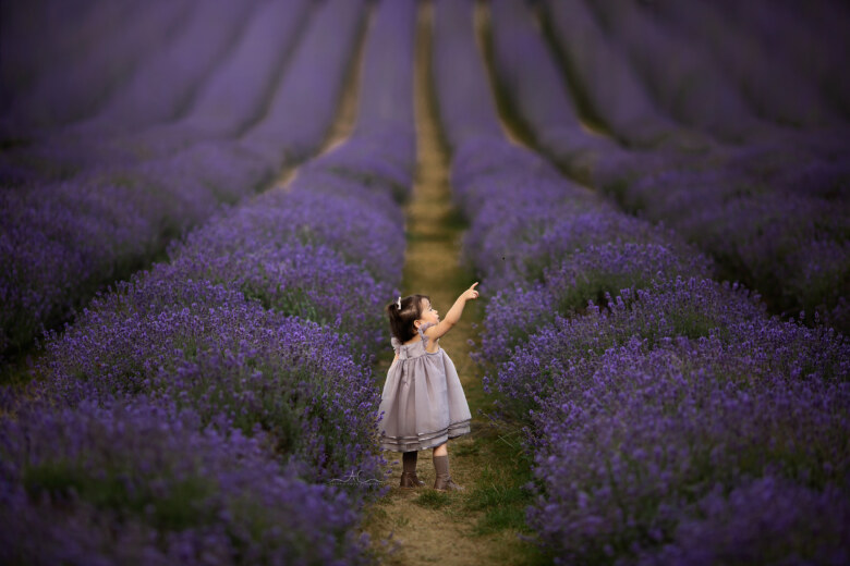 Best London Toddler Lavender Field Photos | photo of a little girl pointing at the passing plane at the lavender field