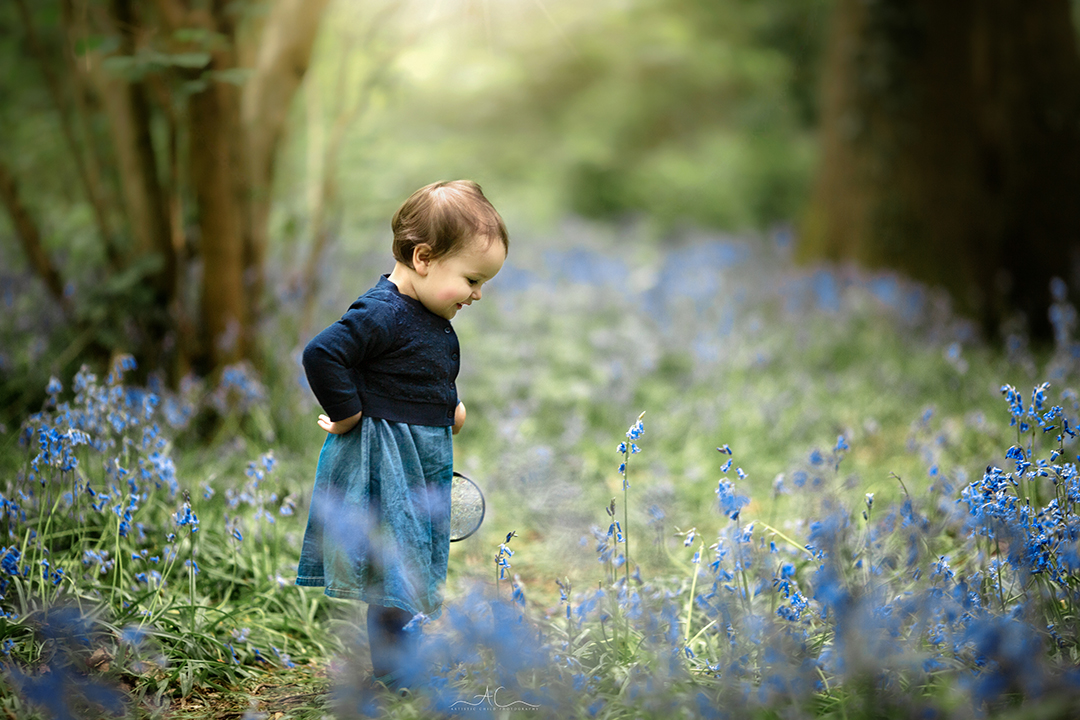Magical Bluebells Mini Sessions London 2024 12 016A4415