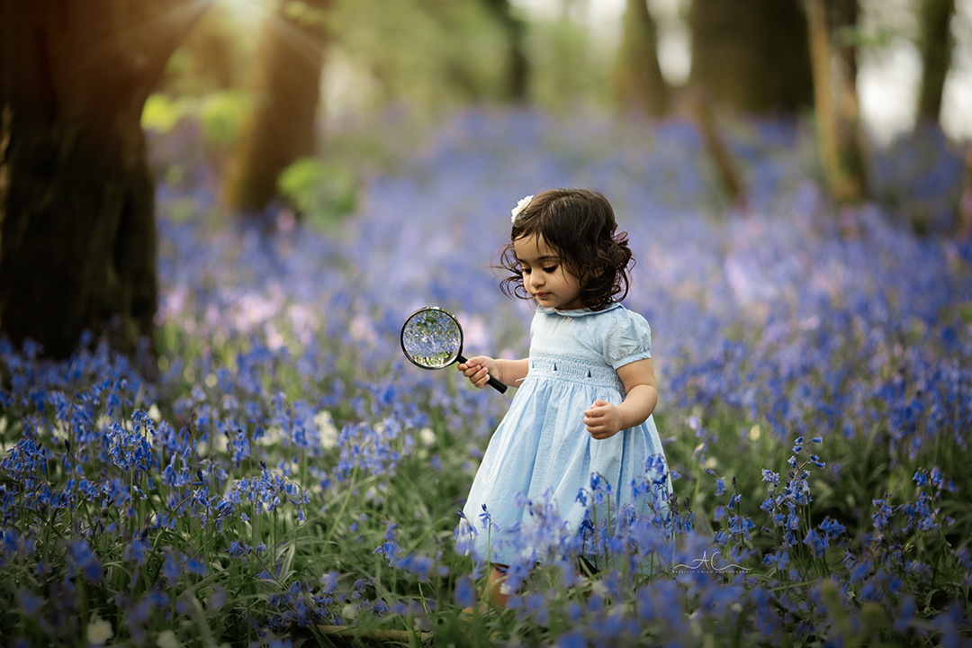 Magical Bluebells Mini Sessions London 2024 11 Ayaana Print3