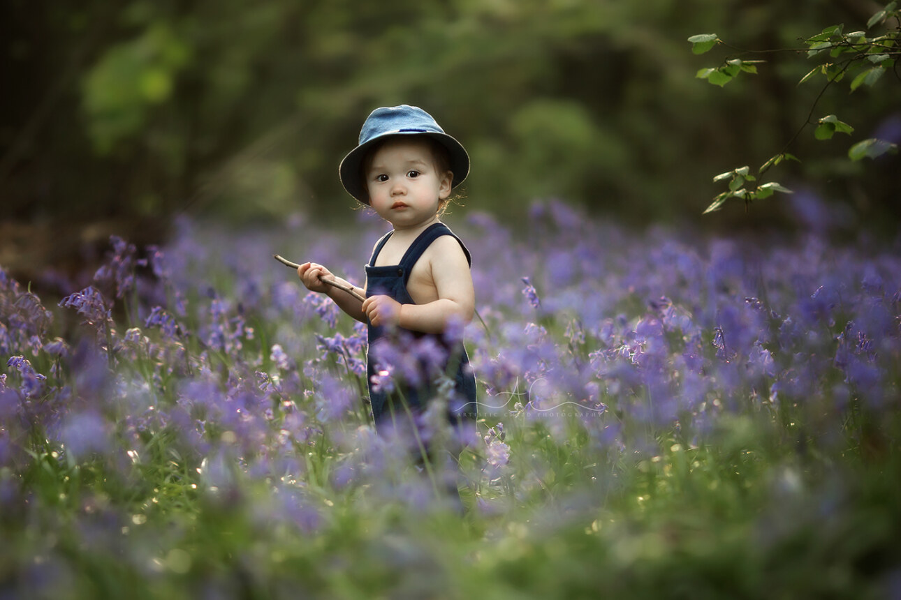 Magical Bluebells Mini Sessions London 2024 2 Bluebells advert 04