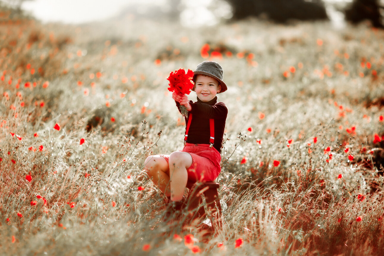 6 Best London Children Photos in Poppy Field | Jacob 4 photo of a boy showing off a bunch of poppy flowers wile playing in the field | London