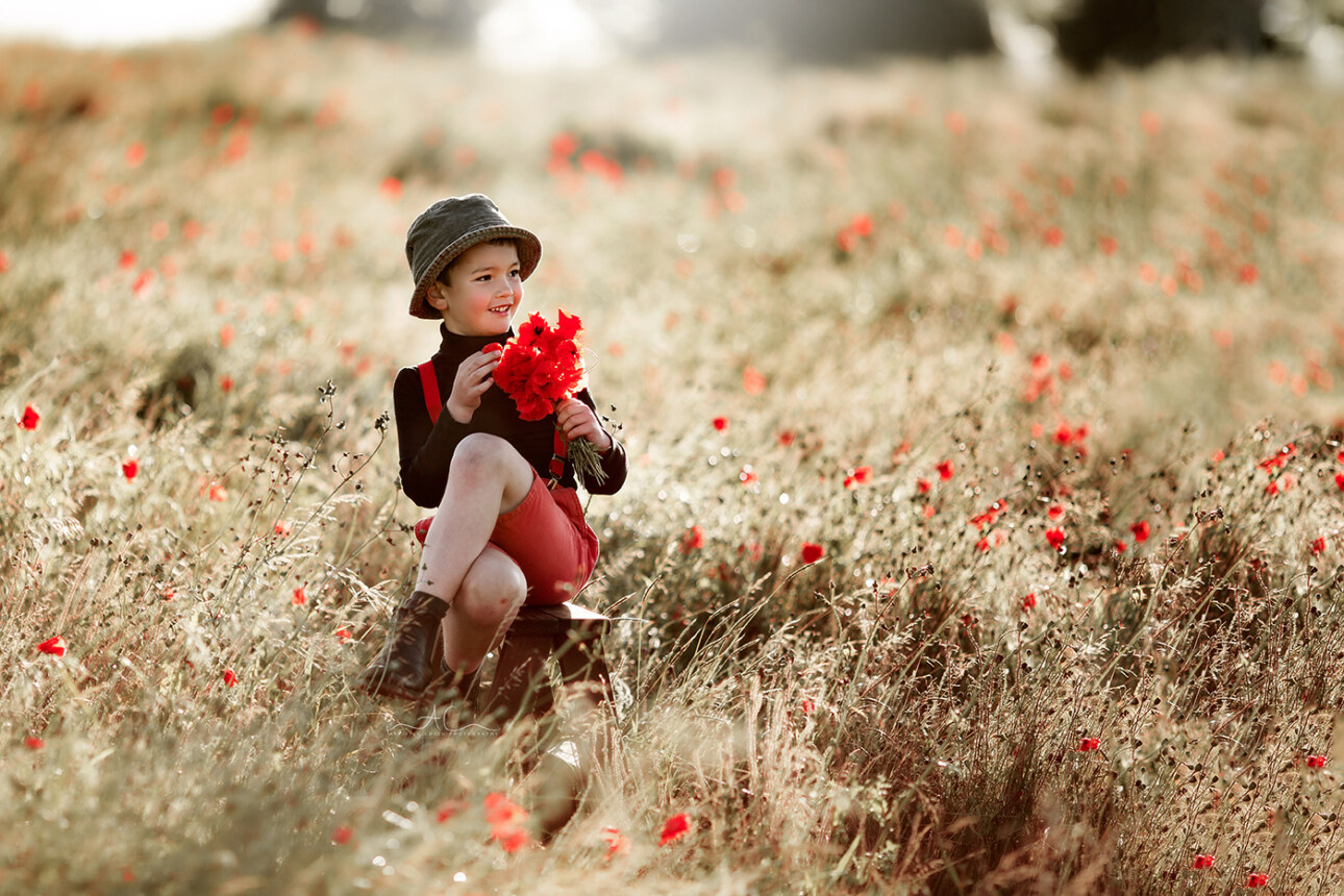 6 Best London Children Photos in Poppy Field | Jacob 2 Best London Children Photos in Poppy Field | A boy holding a bunch od poppy flowers in the field during a photography session