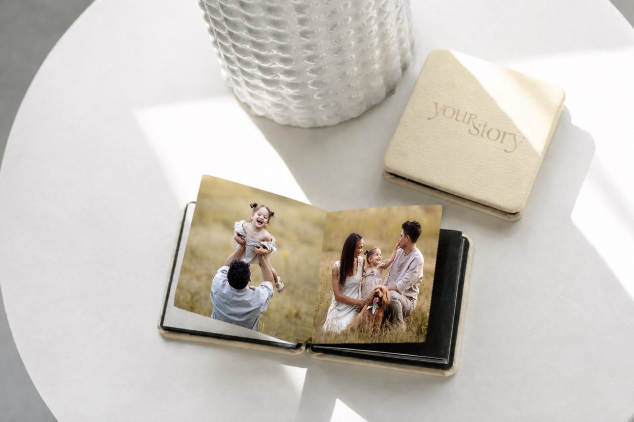 Summer Mini Session Accordion