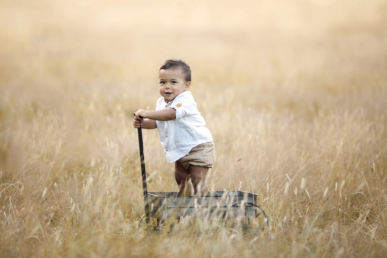 2024 Amazing London Summer Sunset Family Mini Sessions 7 Summer Sunset Mnis 10