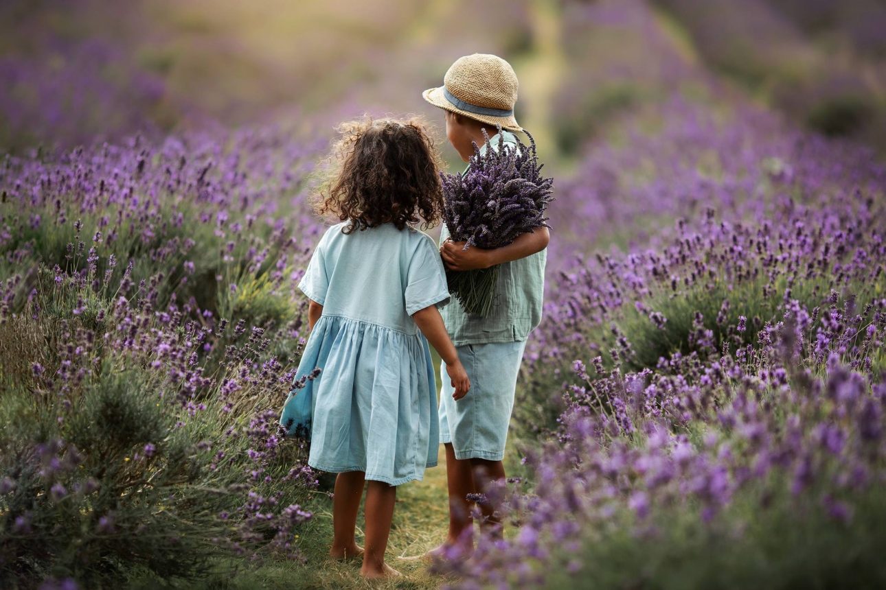 Mayfield Lavender Mini Sessions | portrait of a brother and sister carrying lavender bunches in the lavender field.