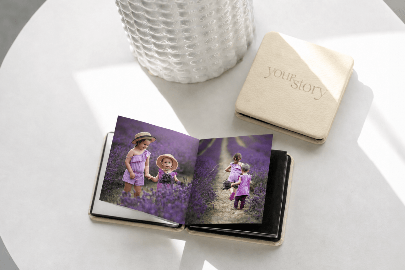 Lavender field accordion album