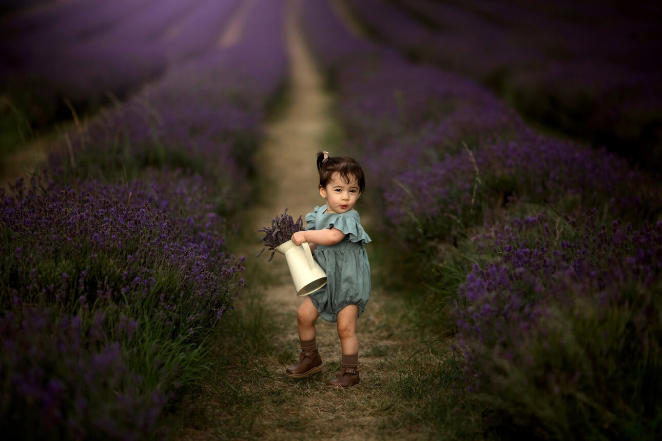 Mayfield Lavender Mini Sessions | portrait of 18 months old little girl crying a jar full of lavender among lavender fields